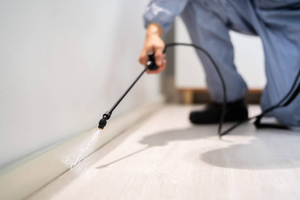 Licensed Termite Control service in Noroton Heights, CT - Nex Pest Control