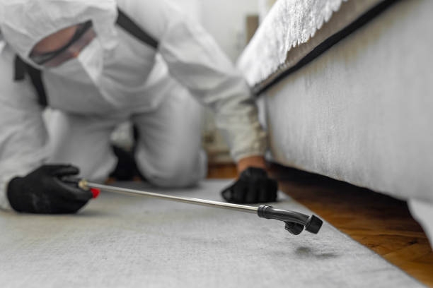 Professional Termite Control technician working in Noroton Heights, CT