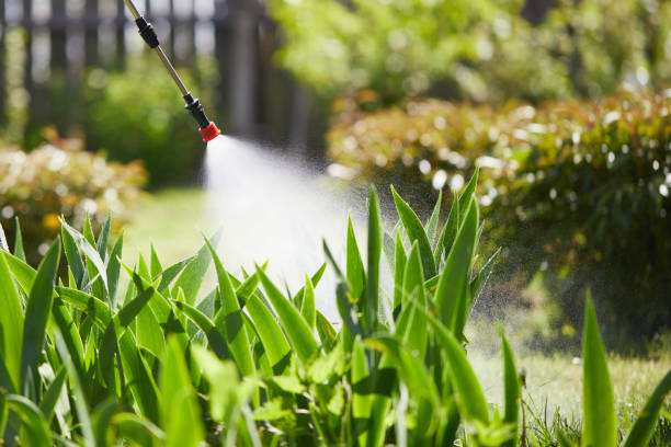 24/7 Emergency Termite Control experts in Noroton Heights, CT