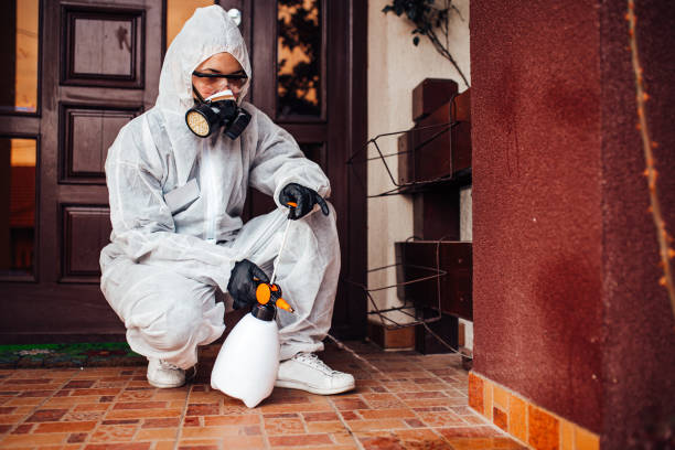 Reliable Termite Control contractor in Noroton Heights, CT by Nex Pest Control