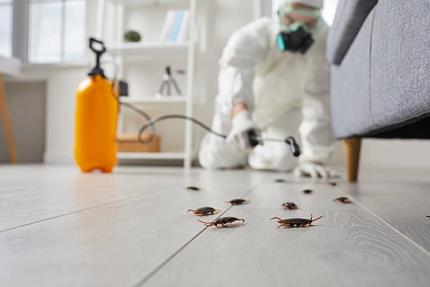 Trusted Cockroach Control service in Noroton Heights, CT - Nex Pest Control